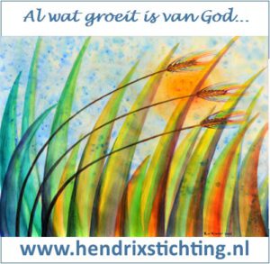 Hendrix' Stichting